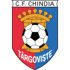Chindia Targoviste